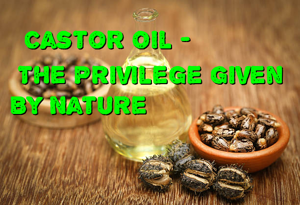 Castor Oil - The Privilege Given By Nature