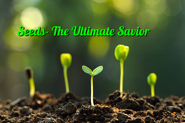 Seeds- The Ultimate Savior