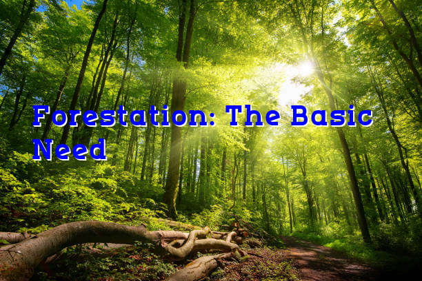 Forestation:The Basic Need