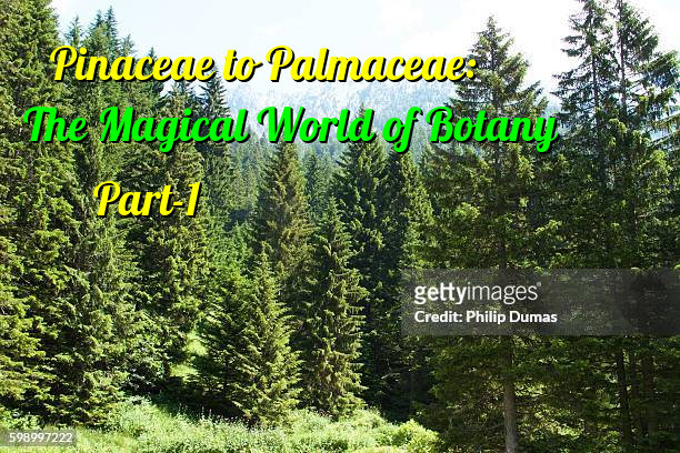 Pinaceae to Palmaceae: The Magical World of Botany (Part-1)